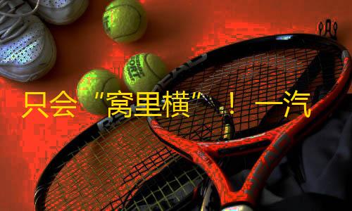 高能英雄科技辅助网站只会“窝里横”
！ 一汽奥迪销量立异低，奚落上汽保正统？